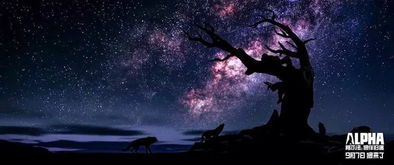 狼来了的夜晚