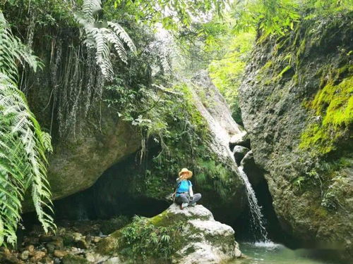 四、 五一特惠门票细则（堪得懂算我输）