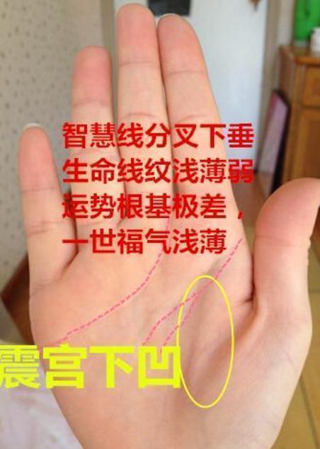 八字纹手掌的女人命运如何？双眉间有八字竖纹的女人命运怎样？