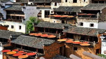 停车场较小插曲：免费还是收费？