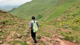 将荒山野岭打一生肖是什么生肖？高山大野打一生肖是什么生肖？