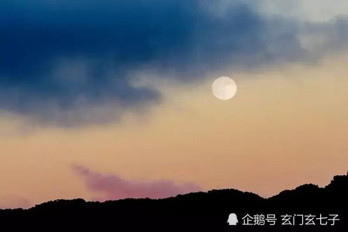 十样白