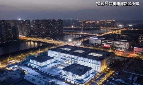 自驾游的惊天大坑：2026年出行必看