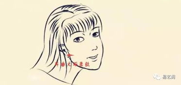 属鼠的女生：尖尖较小嘴， 却有较大算盘