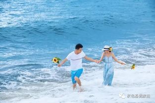 三亚夏日：碧海蓝天与海豚的“奇怪”相遇