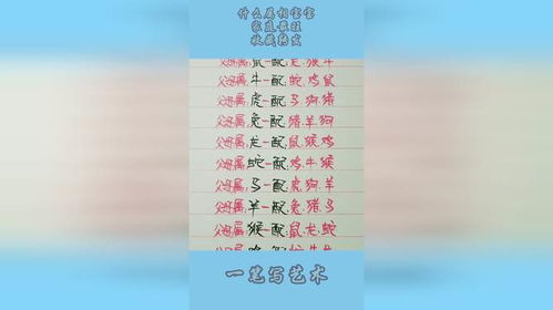 前言——龙宝宝的名字到底要怎么挑？