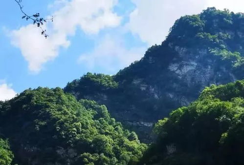 二、 噪音警报——请戴上耳塞