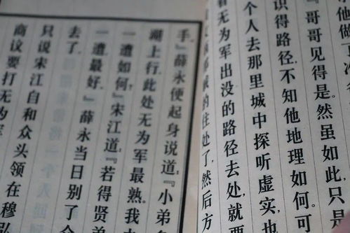 探探电脑版社交柔软件：打破距离，寻找心仪之人