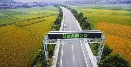 今后展望