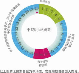 2-1 规律作息：睡眠时间不够？那你得先修正！