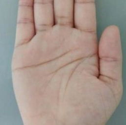 细纹精妙：思考力与决策力的双重加持