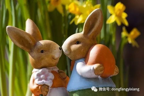 属兔男性佩戴哪种文玩或首饰能增强财运？