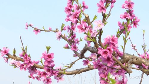 二、 体贴入微的言行举止