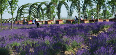 抢票比双十一还刺激