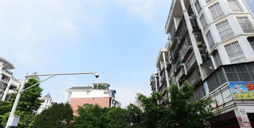 照母山哪个小区风水好,照母山哪个小区风水好