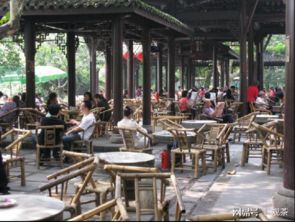 胡同里的茶香，被朋友圈谋杀了吗？