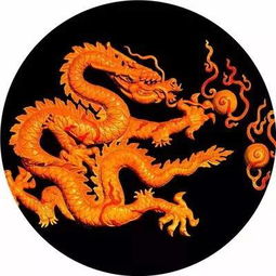 哪些是“龙”？它有更多厉害？