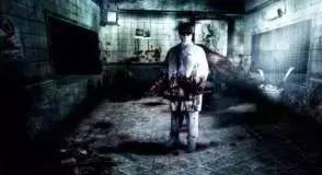 1.1 鼠年与风水磁场的奇妙冲突