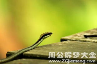 孕妇梦见被小蛇咬，这预示着什么含义或有什么特殊象征？