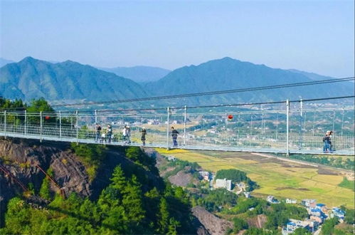 行程总览：从惊险刺激到悠然自得