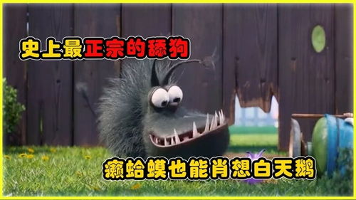 别当舔狗了！爱自己会死啊？