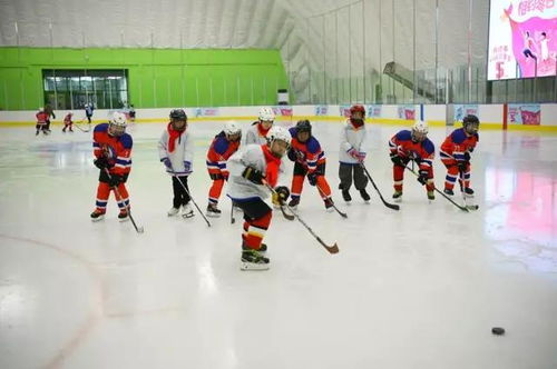 宝龙冰场：老鸟的天堂，菜鸟的地狱