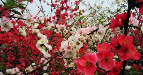 2. 消失的历史：战火与岁月的侵蚀