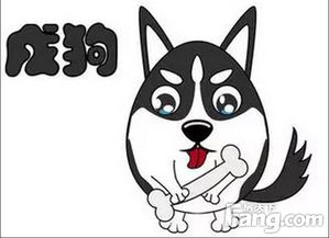 风水布局：让属狗天秤的人更顺遂