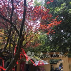 灵栖洞：蝙蝠的欢乐家园