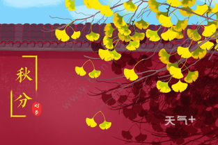 白露时节的那些事儿