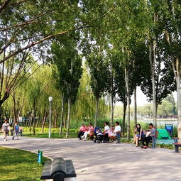 人民公园：看着别人悠闲地晒太阳