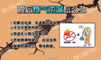 应急包？不如带个算命先生！