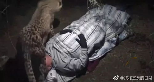 敲门声，如此真实实