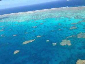 二、 为什么游客们会爱到疯——情感色彩大爆炸