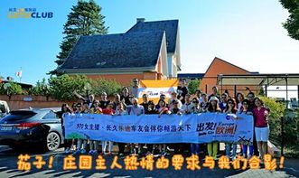 一、冲突标签嵌套混乱组合实例展示(无实际意义)