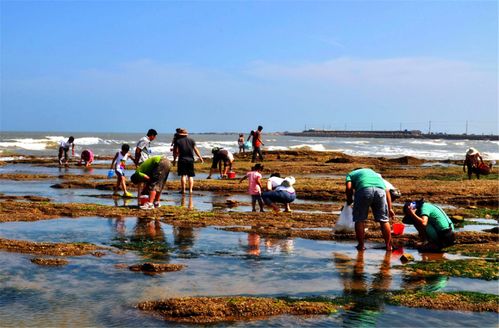 四、鲅鱼圈特色美食：海鲜盛宴