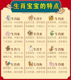 关于十二生肖运势的书，指的是哪本详细解读生肖运势的书籍？