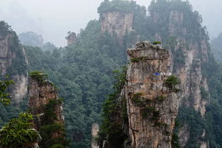 作为国家5A级旅游景区,张家界每年吸引超2000万游客。