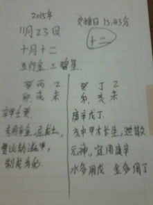 第五步：参考经典文献与诗词