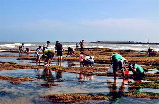4. 龙湾海滨：浪漫与美食的“双重暴击”