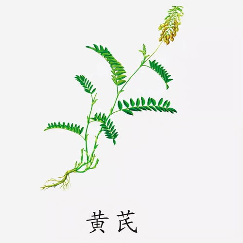 搞定组合——三字组合无厘头较大全（含冗余）
