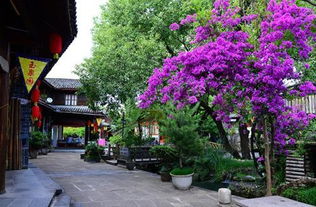 老街上的美食探险（和肠胃的反抗）