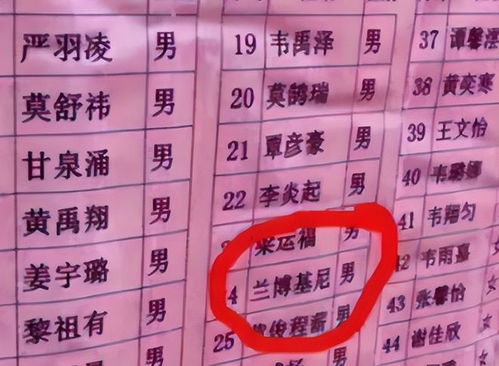 1-1 “姓”——家族徽章（简略版）