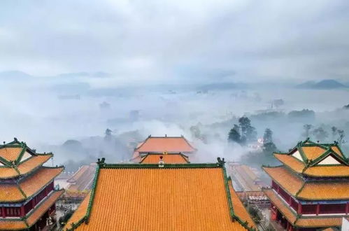 交通小贴士：别忘了带上雨伞和防晒霜！！！