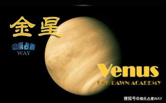金星白羊外貌特征，能否从金星星座看出颜值高低？