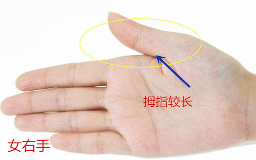 女人的食指和无名指一样较长，这到底是命运还是命名？
