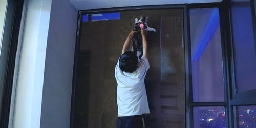 墙壁抱抱：2026年最火风水姿势大揭秘