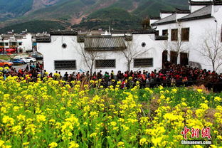 一、 门票市场价格——像是买了一杯加了盐的咖啡