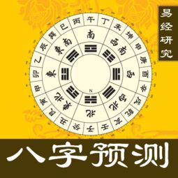 大驿土在八字中具体代表着什么含义？