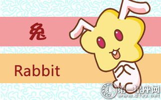 性格篇：兔子本色vs.火力全开